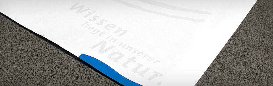 Corporate Design – ProWitzenhausen GmbH