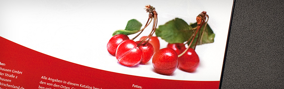 Corporate Design – ProWitzenhausen GmbH