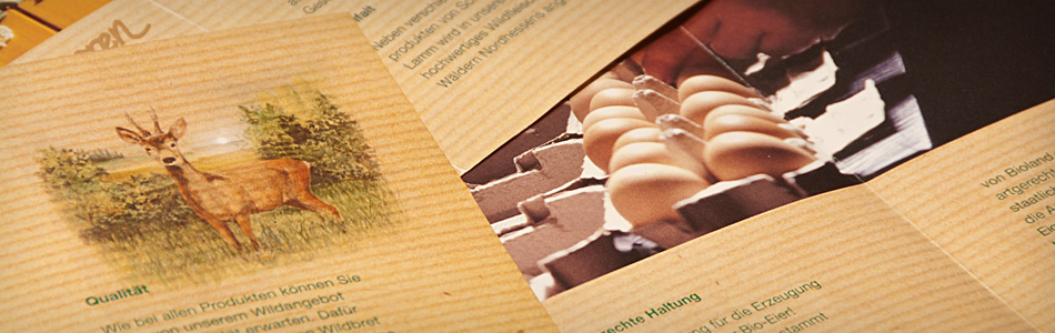 Corporate Design – Hephata BIOGUT