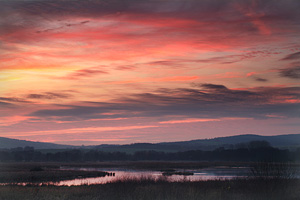 Naturfotografie