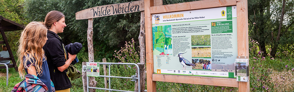 Corporate Design – Stiftung Naturschutz Thüringen – Wilde Weiden Moorlandschaft Alperstedter Ried
