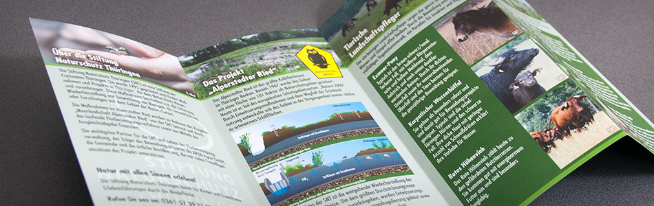 Corporate Design – Stiftung Naturschutz Thüringen – Wilde Weiden Moorlandschaft Alperstedter Ried
