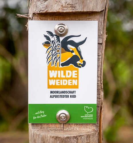 Corporate Design – Stiftung Naturschutz Thüringen – Wilde Weiden Moorlandschaft Alperstedter Ried