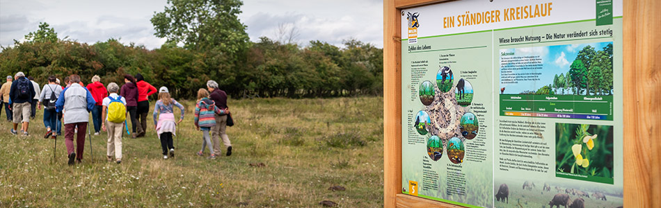 Corporate Design – Stiftung Naturschutz Thüringen – Wilde Weiden Moorlandschaft Alperstedter Ried