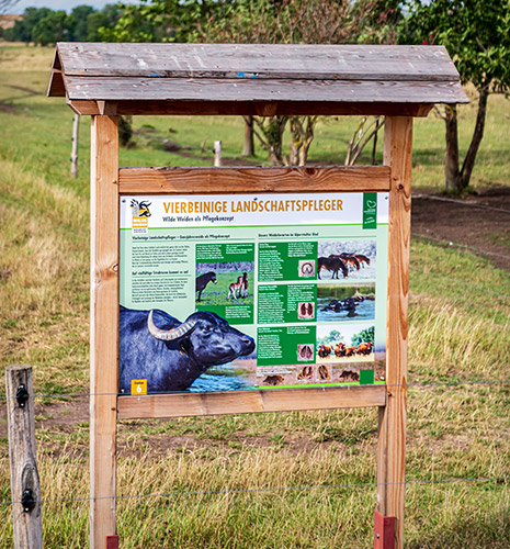 Corporate Design – Stiftung Naturschutz Thüringen – Wilde Weiden Moorlandschaft Alperstedter Ried