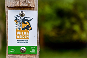 Stiftung Naturschutz Thüringen – „Wilde Weiden Moorlandschaft Alperstedter Ried“